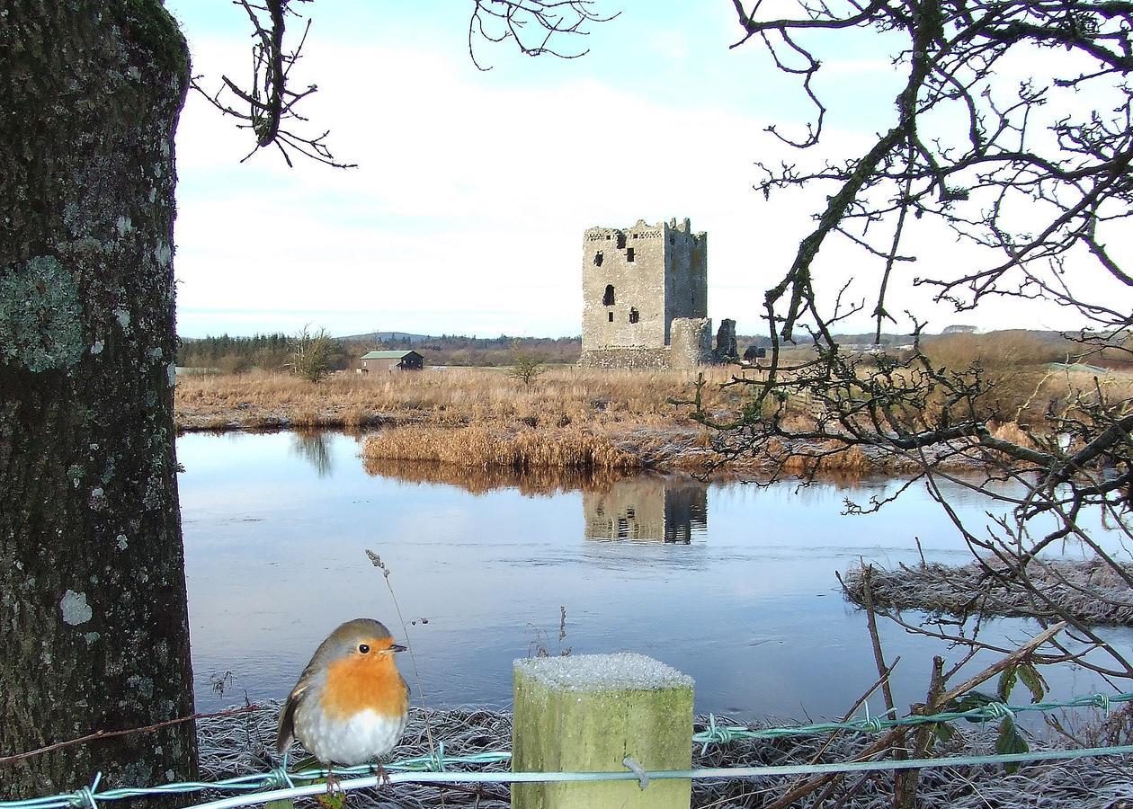 Douglas House Castle Douglas ภายนอก รูปภาพ